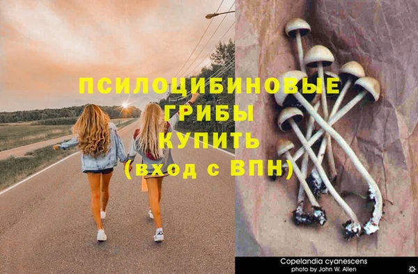 дживик Абдулино