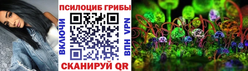 Галлюциногенные грибы мицелий  omg как войти  Ильский  наркота 